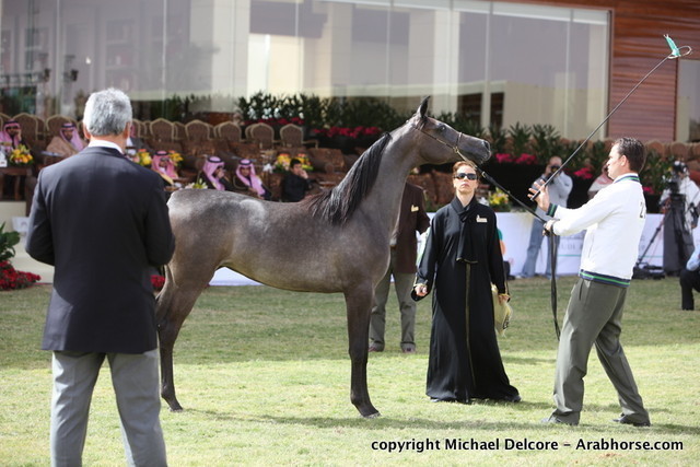 Shahad Al Khamisa by Qais Al Naif