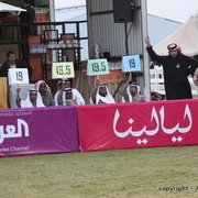 Al Khalediah Arabian Horse Festival Day 2
