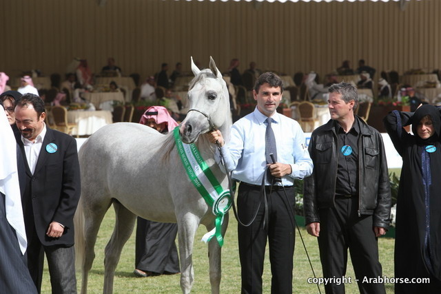 Al Khalediah Arabian Horse Festival Day 2