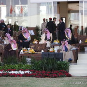 Al Khalediah Arabian Horse Festival Day 2