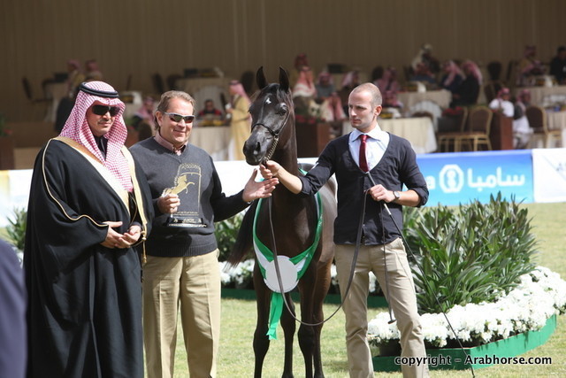 Al Khalediah Arabian Horse Festival Day 2