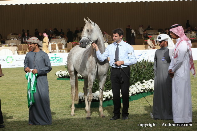 Al Khalediah Arabian Horse Festival Day 2