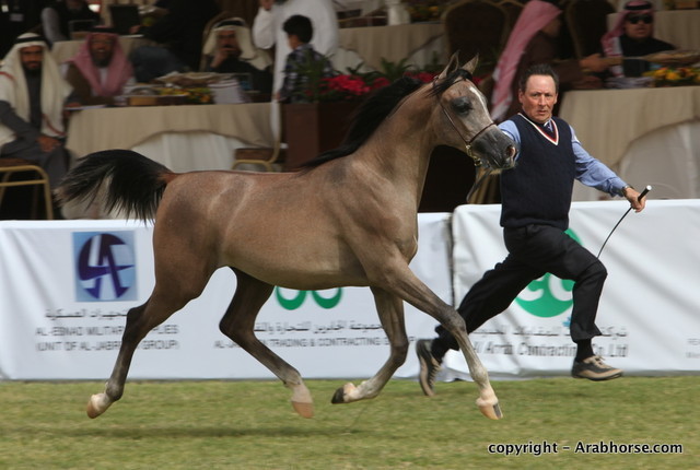 Al Khalediah Arabian Horse Festival Day 2