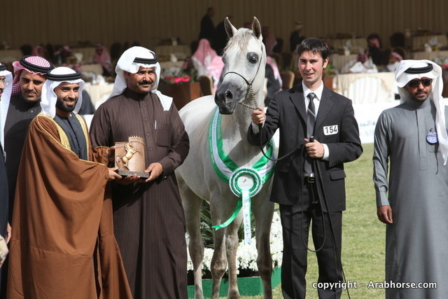 Al Khalediah Arabian Horse Festival Day 2