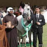 Al Khalediah Arabian Horse Festival Day 2