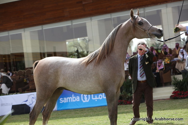 Al Khalediah Arabian Horse Festival Day 2