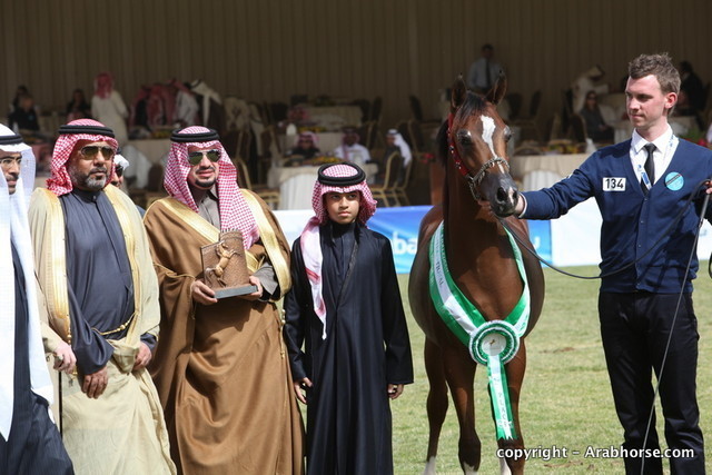 Al Khalediah Arabian Horse Festival Day 2
