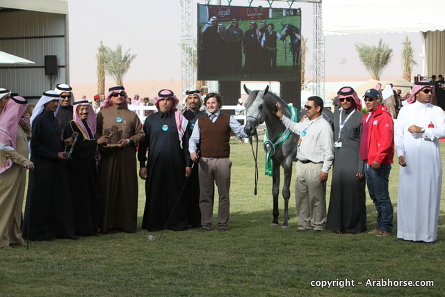 Al Khalediah Arabian Horse Festival Day 2