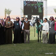 Al Khalediah Arabian Horse Festival Day 2