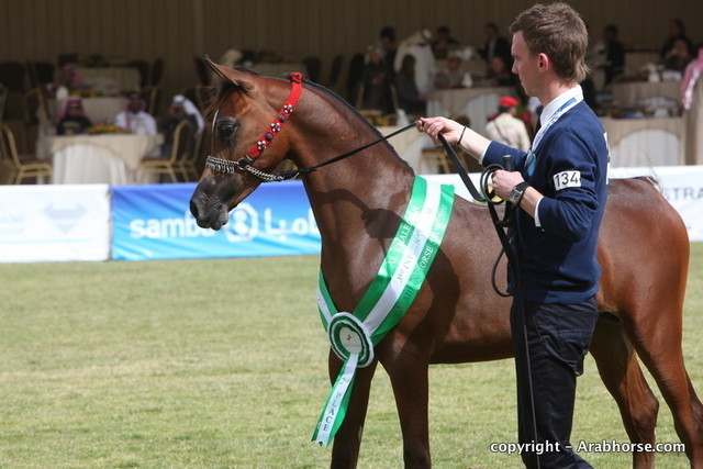 Al Khalediah Arabian Horse Festival Day 2