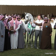 Al Khalediah Arabian Horse Festival Day 2