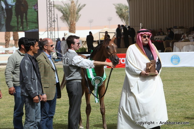 Al Khalediah Arabian Horse Festival Day 2