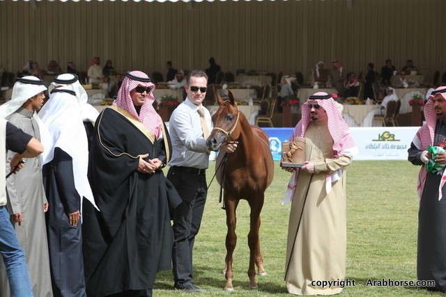 Al Khalediah Arabian Horse Festival Day 2