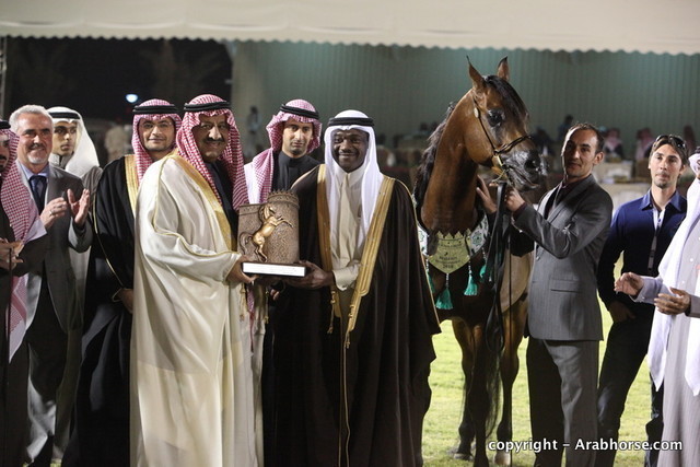 Al Khalediah Arabian Horse Festival Day 3