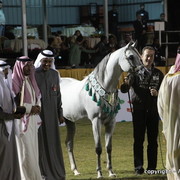 Al Khalediah Arabian Horse Festival Day 3