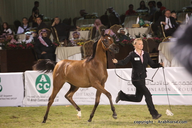 Al Khalediah Arabian Horse Festival Day 3