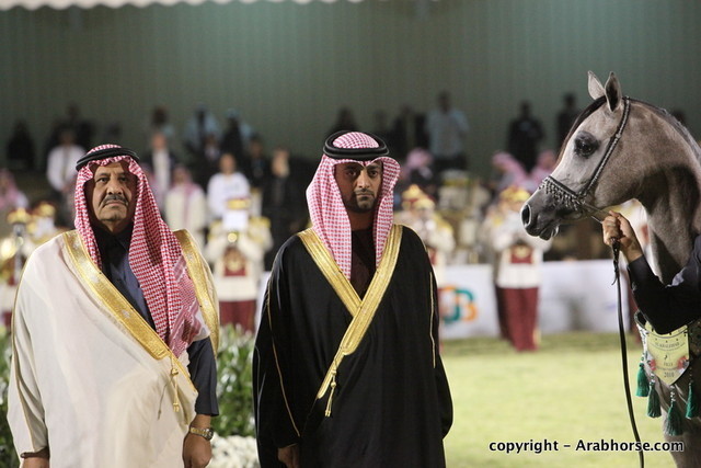 Al Khalediah Arabian Horse Festival Day 3