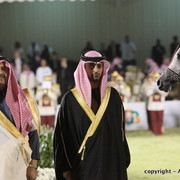 Al Khalediah Arabian Horse Festival Day 3