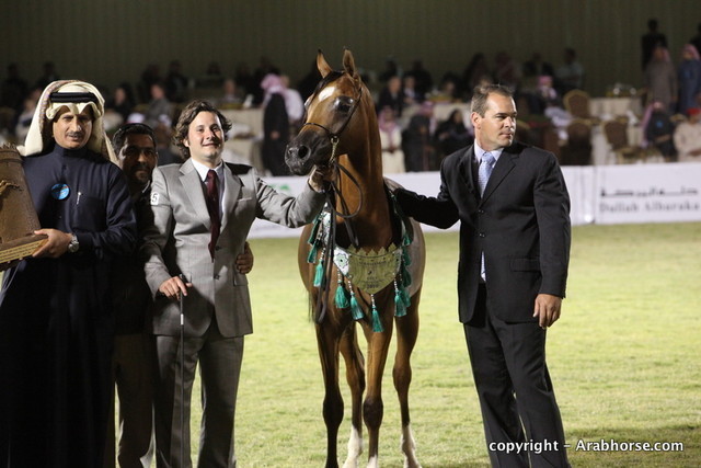 Al Khalediah Arabian Horse Festival Day 3