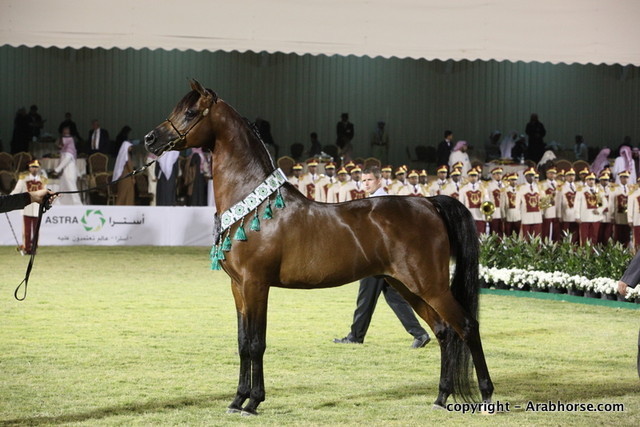 Al Khalediah Arabian Horse Festival Day 3