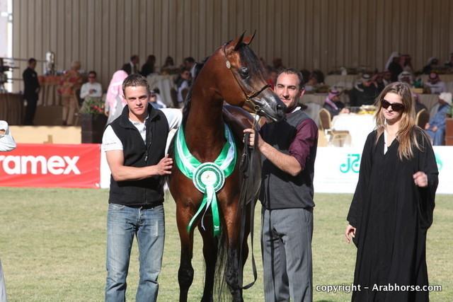 Al Khalediah Arabian Horse Festival Day 3