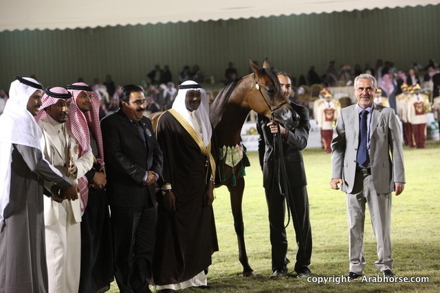 Al Khalediah Arabian Horse Festival Day 3