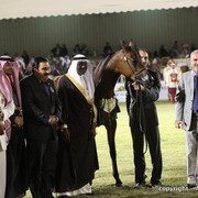 Al Khalediah Arabian Horse Festival Day 3
