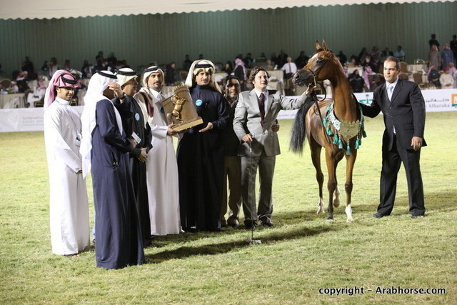 Al Khalediah Arabian Horse Festival Day 3
