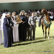 Al Khalediah Arabian Horse Festival Day 3