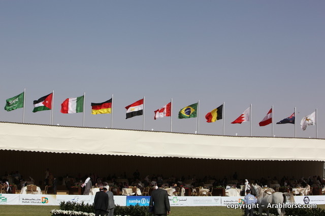 Al Khalediah Arabian Horse Festival Day 3