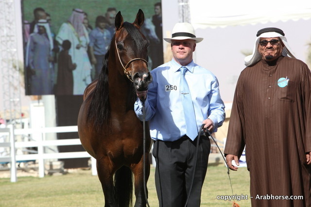 Al Khalediah Arabian Horse Festival Day 3
