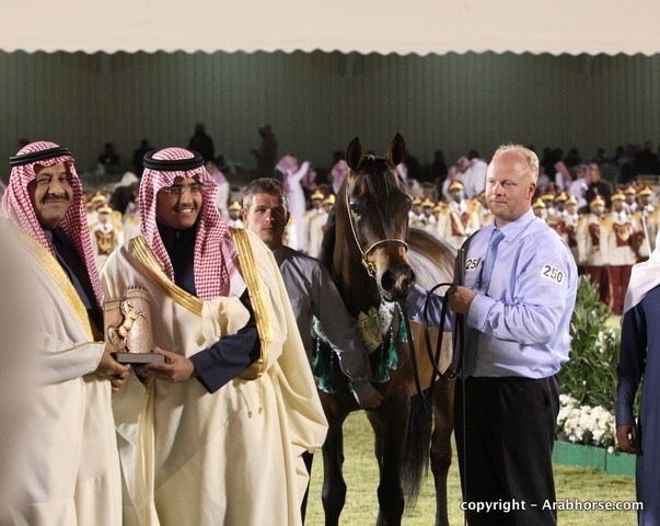 Al Khalediah Arabian Horse Festival Day 3
