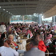 Al Khalediah Arabian Horse Festival Day 3