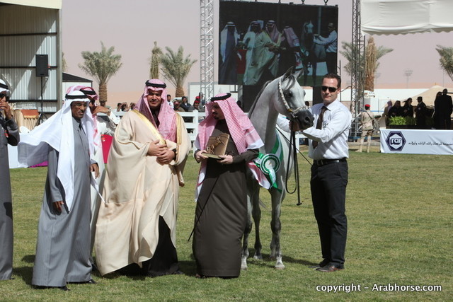 Al Khalediah Arabian Horse Festival Day 3