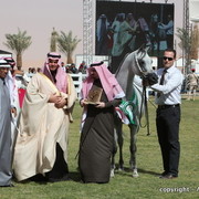 Al Khalediah Arabian Horse Festival Day 3