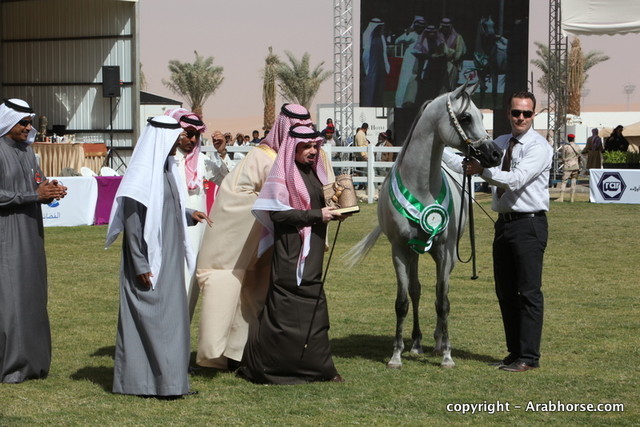 Al Khalediah Arabian Horse Festival Day 3
