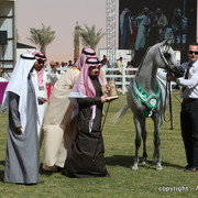 Al Khalediah Arabian Horse Festival Day 3