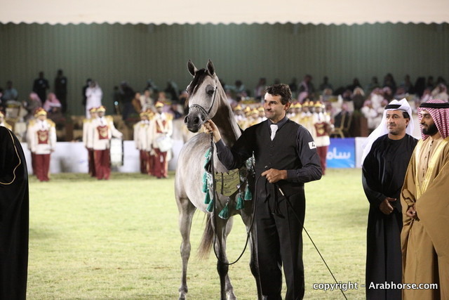 Al Khalediah Arabian Horse Festival Day 3