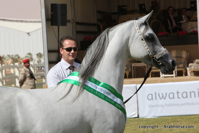 Al Khalediah Arabian Horse Festival Day 3
