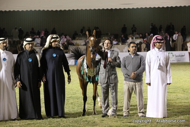 Al Khalediah Arabian Horse Festival Day 3