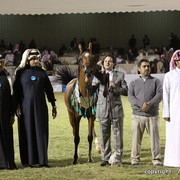Al Khalediah Arabian Horse Festival Day 3