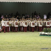 Al Khalediah Arabian Horse Festival Day 3
