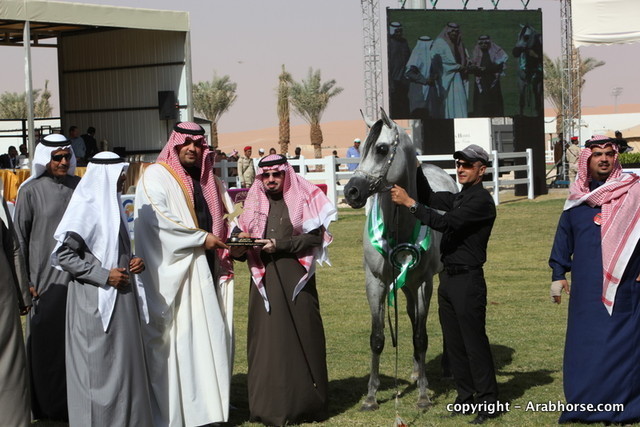 Al Khalediah Arabian Horse Festival Day 3