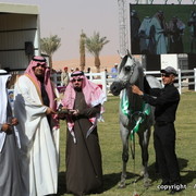 Al Khalediah Arabian Horse Festival Day 3