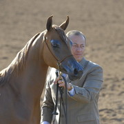 Scottsdale Arabian Horse Show 2010 - Saturday, 2-13