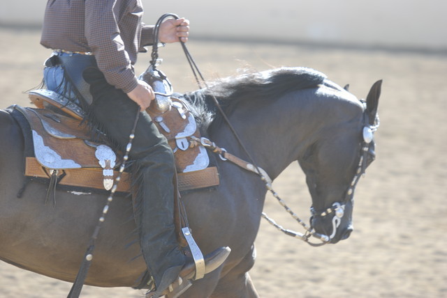 Scottsdale Arabian Horse Show 2010 - Monday, 2-15