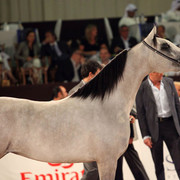 Class 2B | 3rd Place - Nooran Al Khalediah | H.R.H. Prince Khalid Bin Sultan Bin Abdul Aziz Al Saud