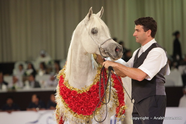 2010 Dubai International Arabian Horse Championships