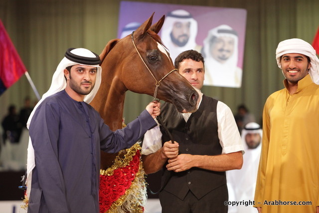 2010 Dubai International Arabian Horse Championships