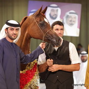 2010 Dubai International Arabian Horse Championships